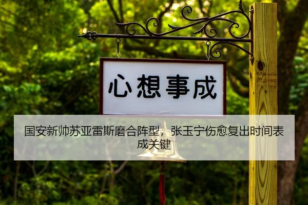 guo-an-xin-shuai-su-ya-lei-si-mo-he-zhen-xing-zhang-yu-ning-shang-yu-fu-chu-shi-jian-biao-cheng-guan-jian-2-768.jpg