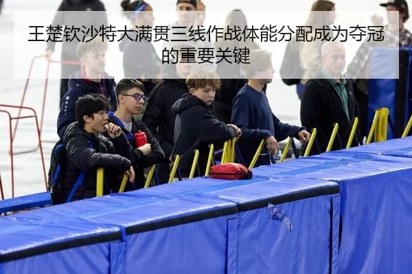wang-chu-qin-sha-te-da-man-guan-san-xian-zuo-zhan-ti-neng-fen-pei-cheng-wei-duo-guan-de-zhong-yao-guan-jian-3-939.jpg